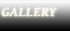 Photo Gallery